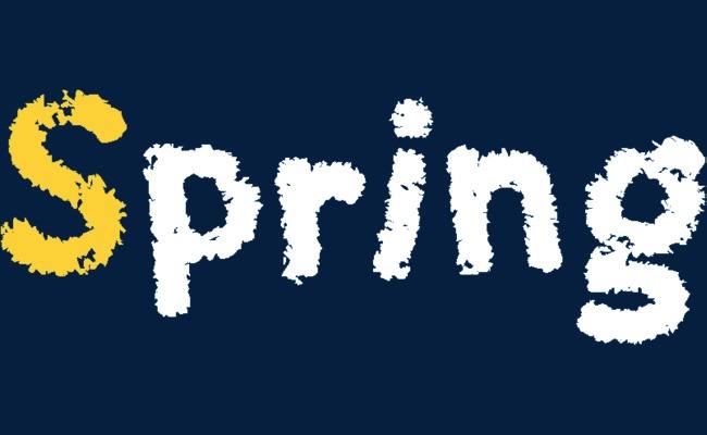 圣思园 张龙-Spring精髓