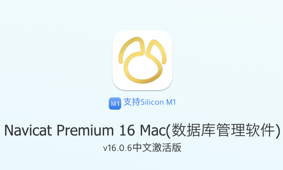 Navicat Premium 16 Mac(数据库管理软件) v16.0.6中文激活版